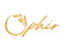 Logo_with_background-1-removebg-preview